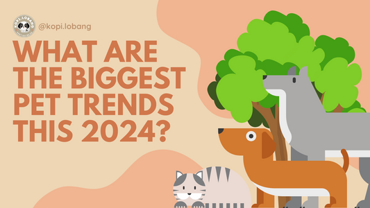 What are the Biggest Pet Trends this 2024?