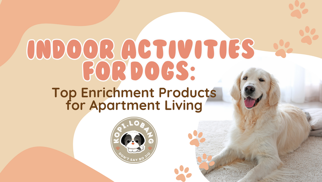 Indoor Activities for Dogs: Top Enrichment Products for Apartment Living