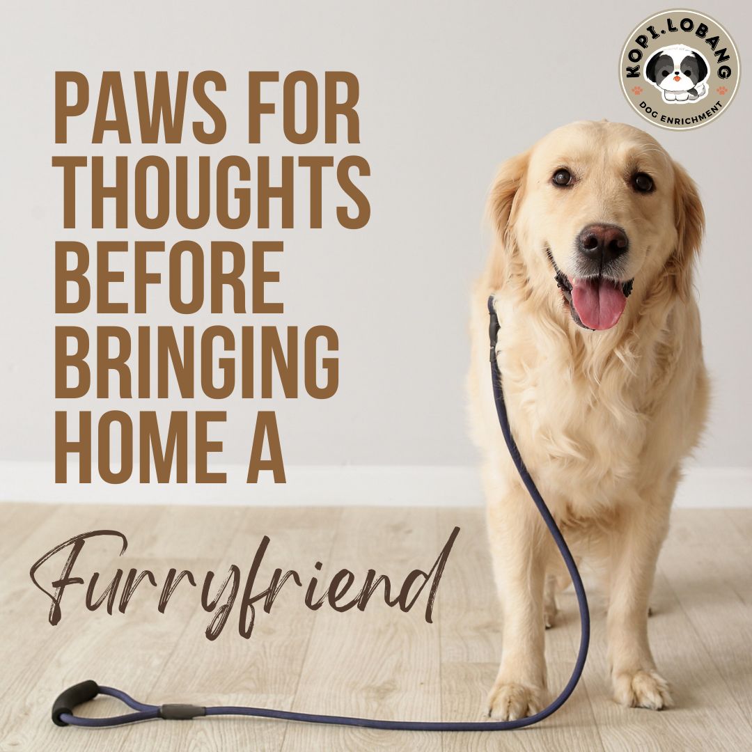 Paws For Thoughts Before Bringing Home A Furryfriend