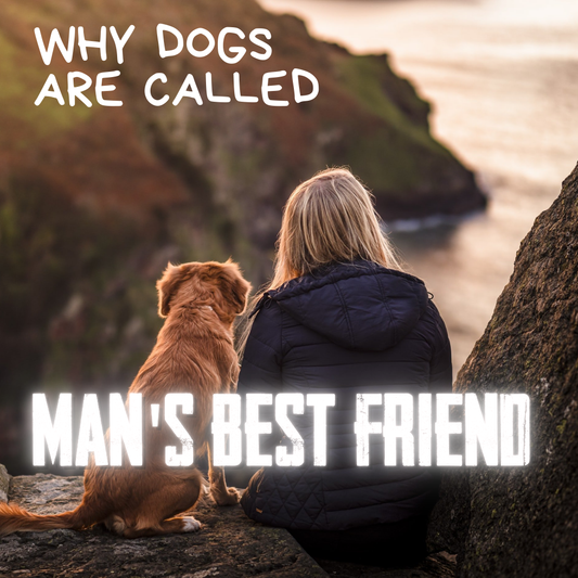 The Science Behind Why Dogs Are Called Man's Best Friend