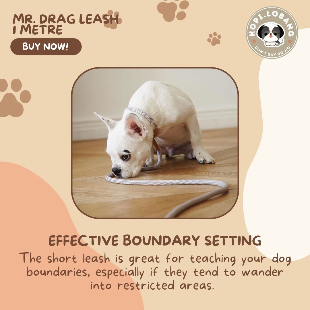 ✅[SG] Mr. Drag Leash 1 Meter For Better Control At Home ★ FREE Enrichment Tips & Ideas e-Guide Worth $7 ★ Enrichment ★ SG Stock ★ Kopi Lobang