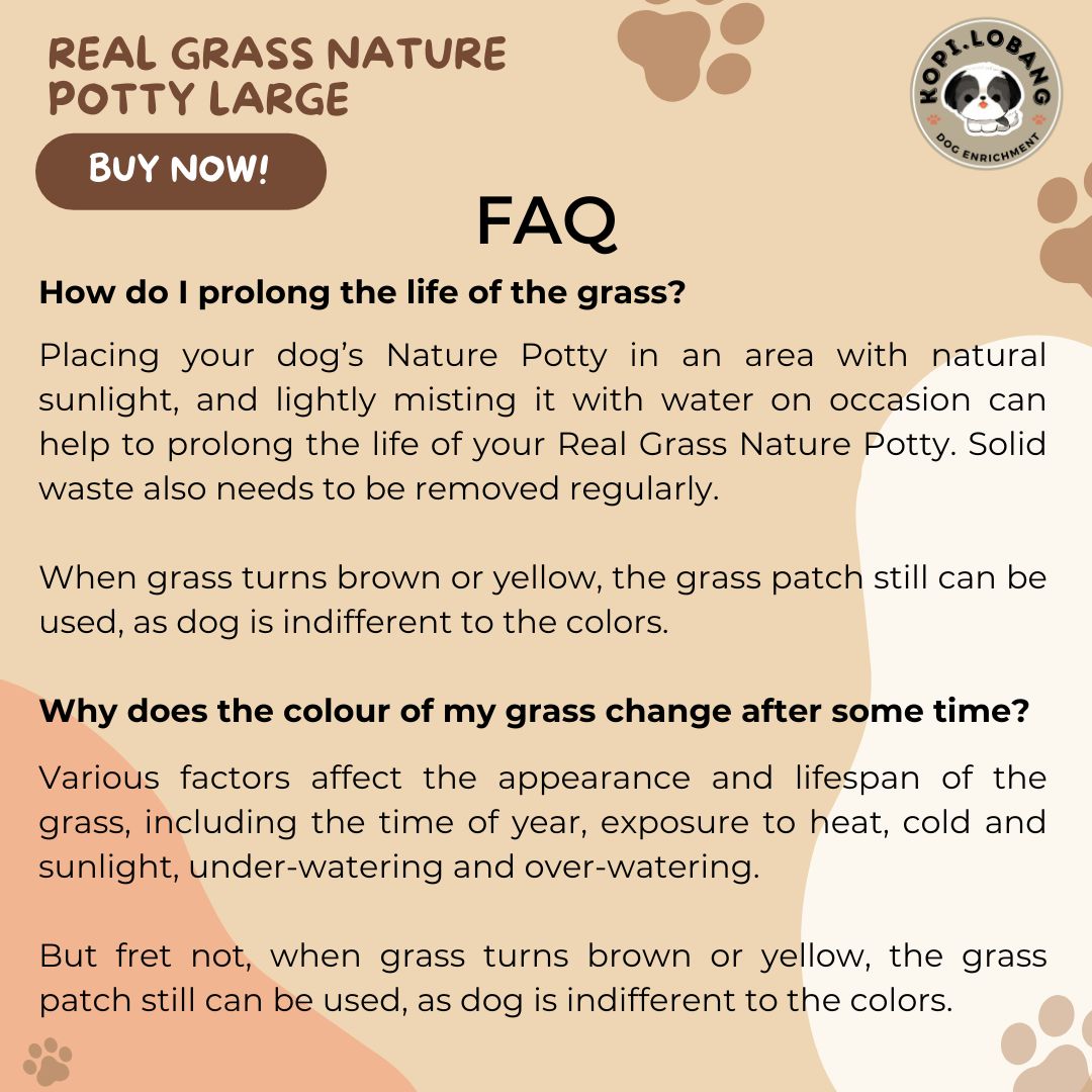 ✅[SG] 3 MONTHS (6 DELIVERIES) REAL GRASS NATURE POTTY ★ FREE Training e-Guide Worth $7 ★ SG Stock ★ Kopi Lobang ★ The First Pet Potty Real Grass in Singapore ★ Perfect for Gift