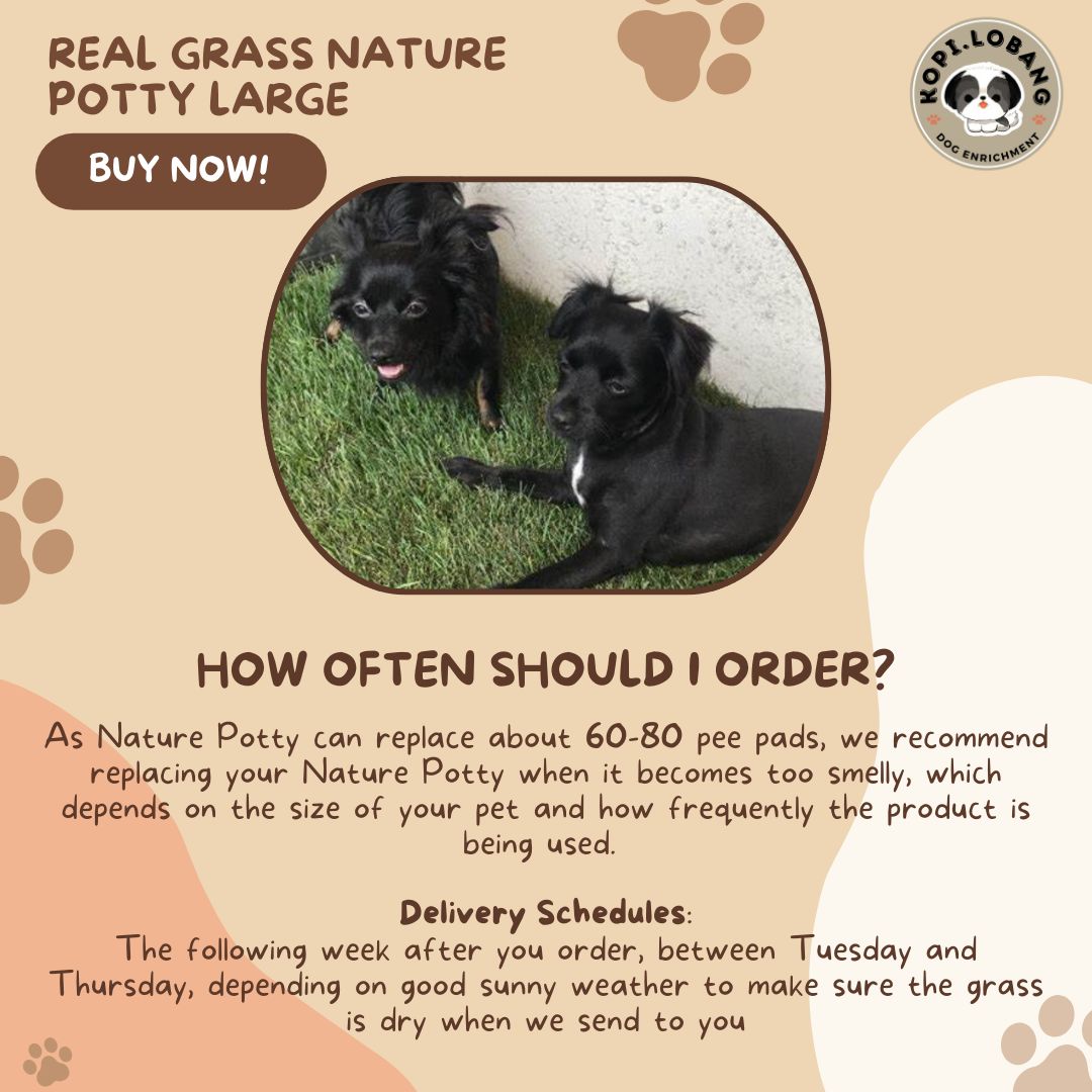 ✅[SG] 3 MONTHS (6 DELIVERIES) REAL GRASS NATURE POTTY ★ FREE Training e-Guide Worth $7 ★ SG Stock ★ Kopi Lobang ★ The First Pet Potty Real Grass in Singapore ★ Perfect for Gift