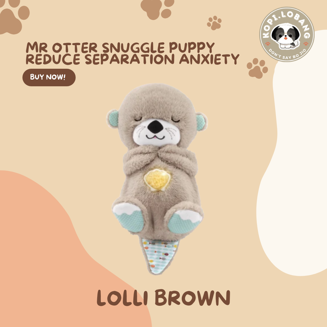 ✅[SG] MR OTTER SNUGGLE FOR DOG SEPARATION ANXIETY ★ FREE Separation Anxiety Training eGuide Worth $7 ★ Fast Shipping