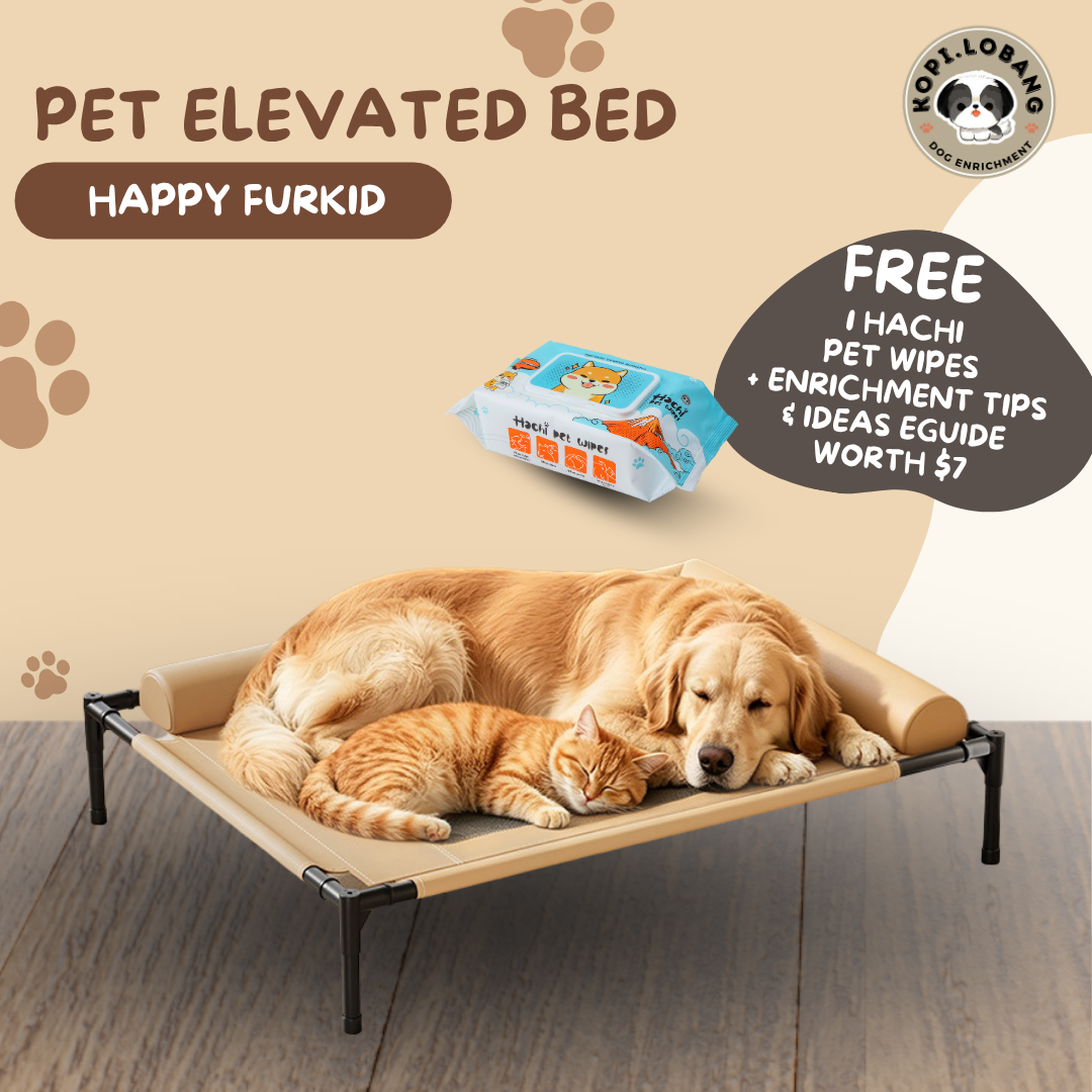 ✅[SG] Elevated Pet Bed for Dogs & Cats | Breathable & Durable Pet Bed | Easy Clean