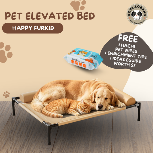 ✅[SG] Elevated Pet Bed for Dogs & Cats | Breathable & Durable Pet Bed | Easy Clean