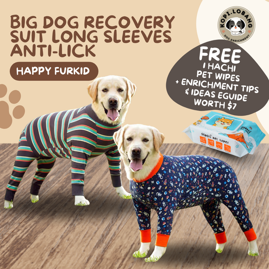 Big Dog Recovery Suit Long Sleeves Anti-Lick