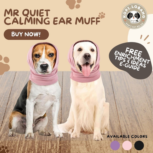 ✅[SG] Mr Quiet Calming Ear Muff ★ FREE Enrichment Tips & Ideas e-Guide Worth $7 ★ Enrichment ★ SG Stock ★ Kopi Lobang