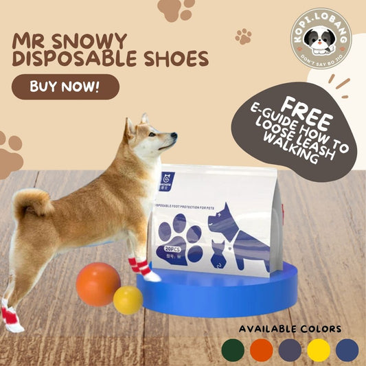 ✅[SG] MR SNOWY DISPOSABLE SHOES ★  FREE E-GUIDE HOW TO LOOSE LEASH WALKING ★ Enrichment ★ SG Stock ★ Kopi Lobang