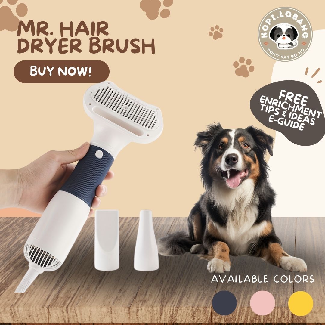 ✅[SG] MR. HAIR DRYER BRUSH ★ FOR DOG AND CAT FREE Enrichment Tips & Ideas e-Guide Worth $7 ★ Pet Enrichment ★ SG Stock ★ Kopi Lobang