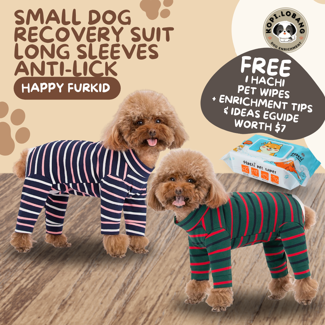 Small Dog Recovery Suit Long Sleeves Anti-Lick