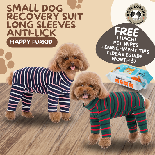Small Dog Recovery Suit Long Sleeves Anti-Lick
