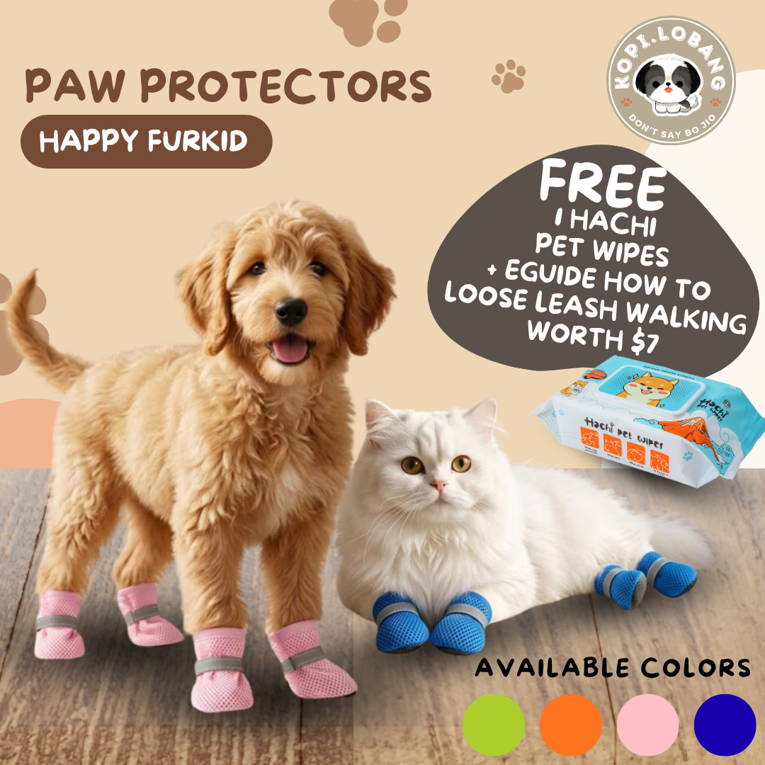 ✅[SG] Paw Protector ★ Enrichment ★ SG Stock ★ Kopi Lobang