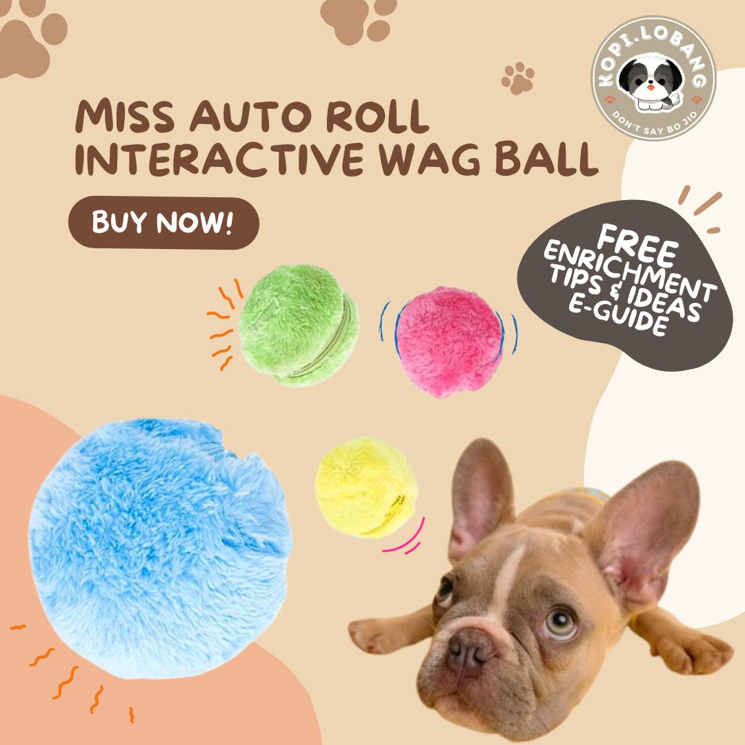 ✅[SG] MISS AUTO ROLL INTERACTIVE WAG BALL ★ Agility Training ★FREE Enrichment Tips & Ideas e-Guide Worth $7★ Enrichment ★ SG Stock ★ Kopi Lobang