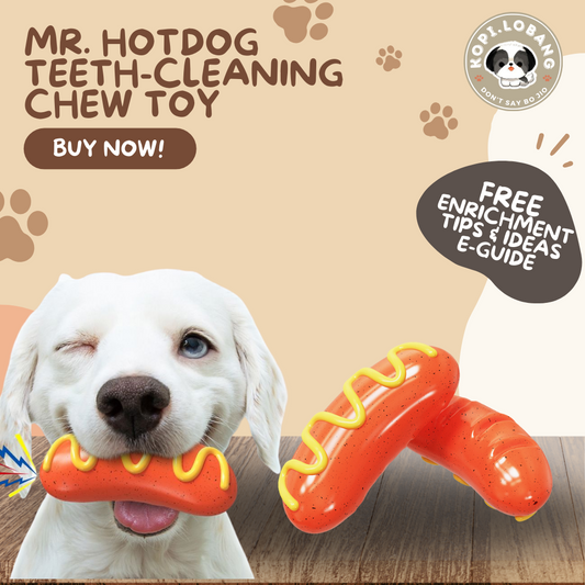 ✅[SG] MR. HOTDOG TEETH-CLEANING CHEW TOY ★ FREE Enrichment Tips & Ideas e-Guide Worth $7 ★ Pet Enrichment ★ SG Stock ★ Kopi Lobang