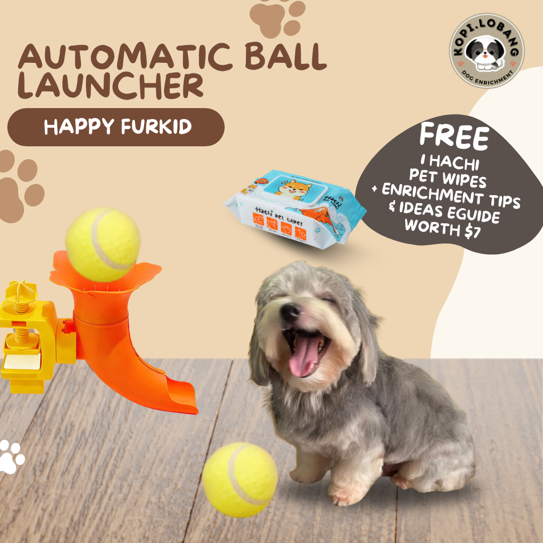 ✅[SG] Automatic Dog Tennis Ball Launcher | Smart Interactive Fetch Toy | Indoor Exercise | Boredom Relief & Training