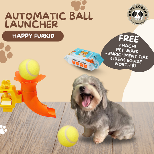 ✅[SG] Automatic Dog Tennis Ball Launcher | Smart Interactive Fetch Toy | Indoor Exercise | Boredom Relief & Training