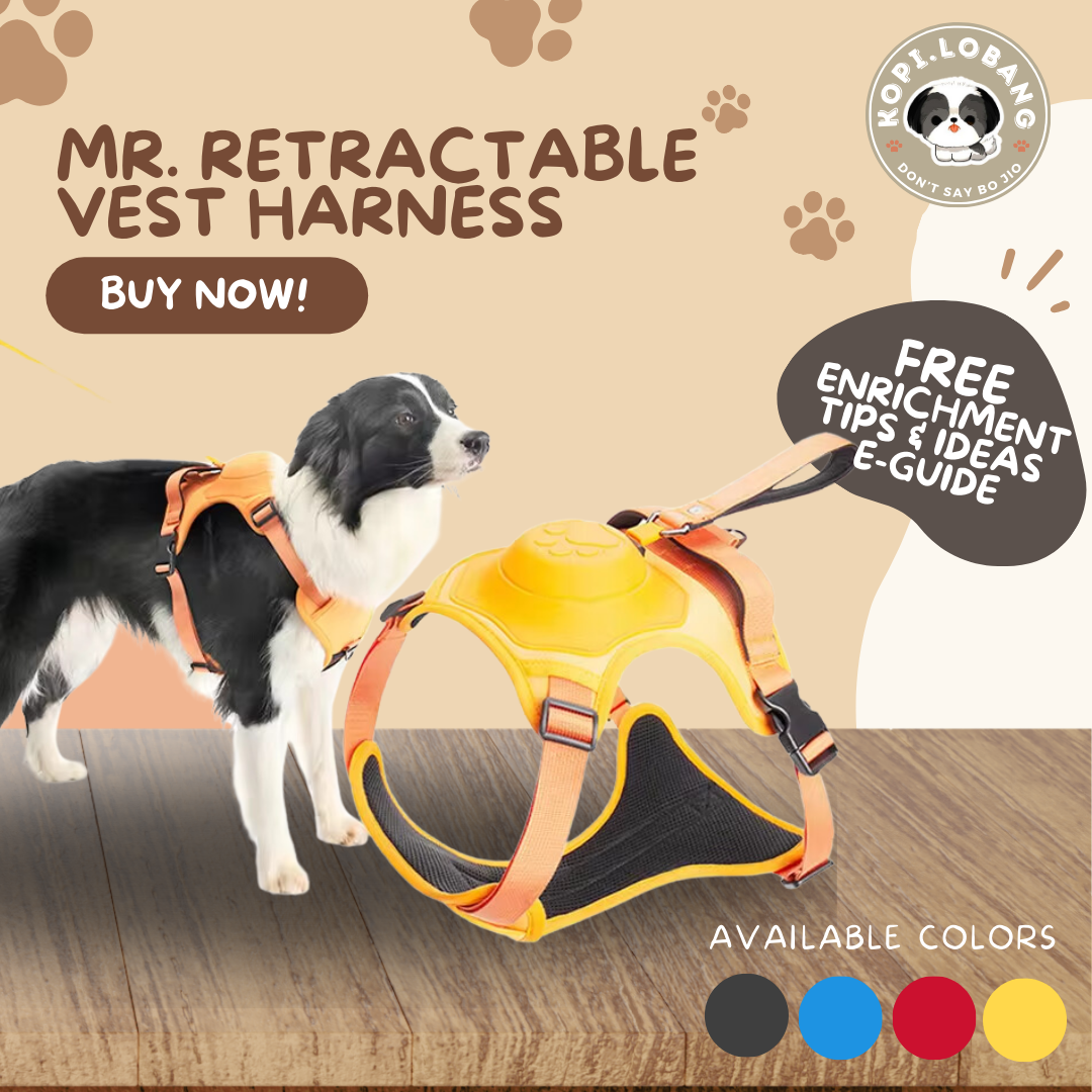 ✅[SG] MR. RETRACTABLE VEST HARNESS ★ FREE Enrichment Tips & Ideas e-Guide Worth $7 ★ Pet Enrichment ★ SG Stock ★ Kopi Lobang