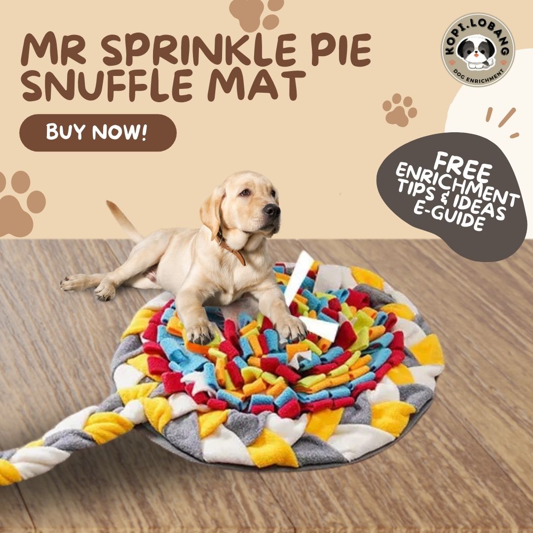 ✅[SG] MR SPRINKLE PIE SNUFFLE MAT ★ Nosework Training ★ FREE Enrichment Tips & Ideas e-Guide Worth $7 ★ Pet Enrichment ★ SG Stock ★ Kopi Lobang