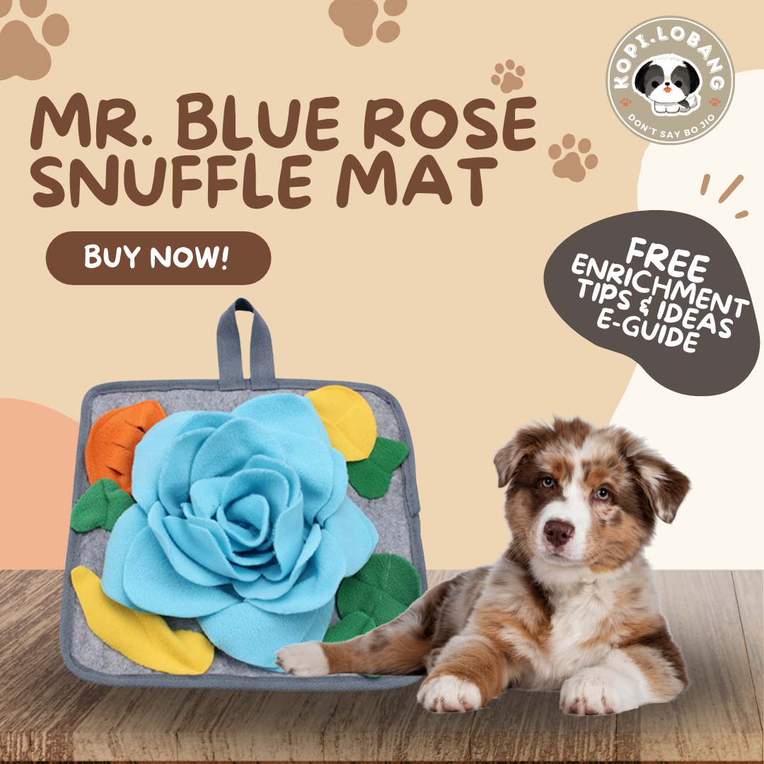 ✅[SG] MR. BLUE ROSE SNUFFLE MAT ★ Nosework Training ★ FREE Enrichment Tips & Ideas e-Guide Worth $7 ★ Pet Enrichment ★ SG Stock ★ Kopi Lobang