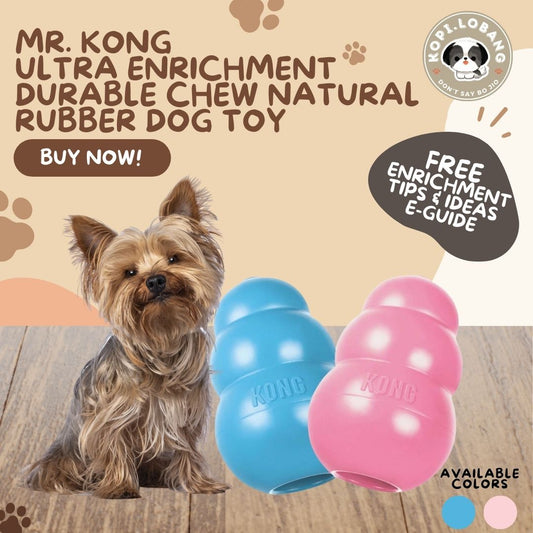 ✅[SG] MR. KONG ULTRA ENRICHMENT DURABLE CHEW NATURAL RUBBER DOG TOY ★ FREE Enrichment Tips & Ideas e-Guide Worth $7 ★ Enrichment ★ SG Stock ★ Kopi Lobang