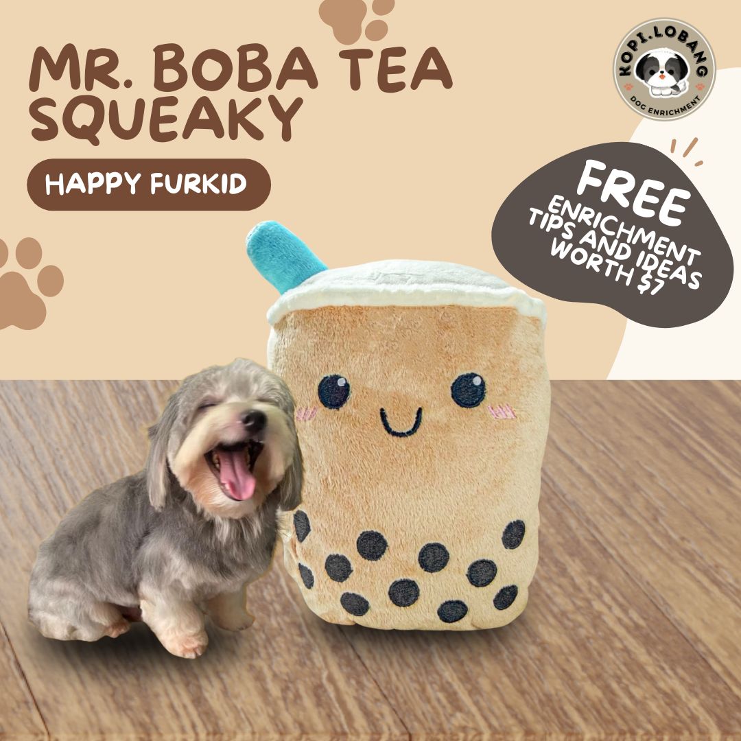 ✅[SG] MR. BOBA TEA SQUEAKY ★ FREE Enrichment Tips & Ideas e-Guide Worth $7 ★ Pet Toy Enrichment ★ SG Stock ★ Kopi Lobang ★