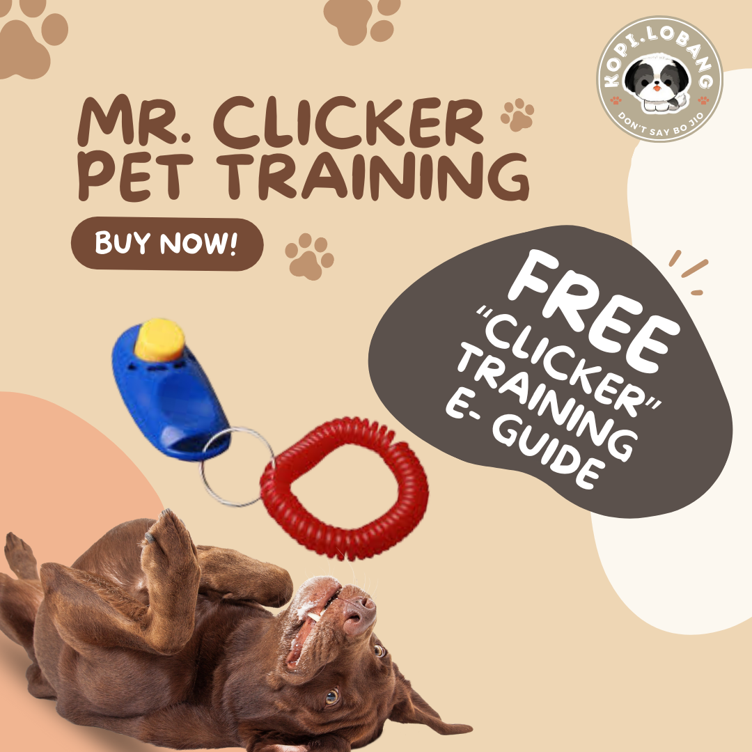 ✅[SG] MR. CLICKER PET TRAINING ★ Command & Obedience Training ★ FREE Clicker Dog Training e-Guide Worth $7★ SG Stock ★ Perfect for Gift