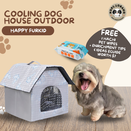 ✅[SG] Summer Cooling Pet House with Ice Packs
