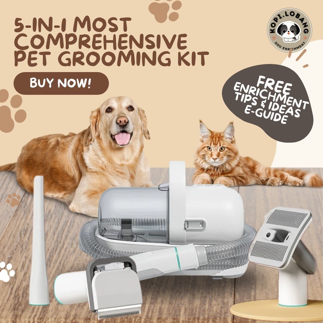 ✅[SG] 5-IN-1 MOST COMPREHENSIVE PET GROOMING KIT ★ FOR DOG AND CAT FREE Enrichment Tips & Ideas e-Guide Worth $7 ★ Pet Enrichment ★ SG Stock ★ Kopi Lobang