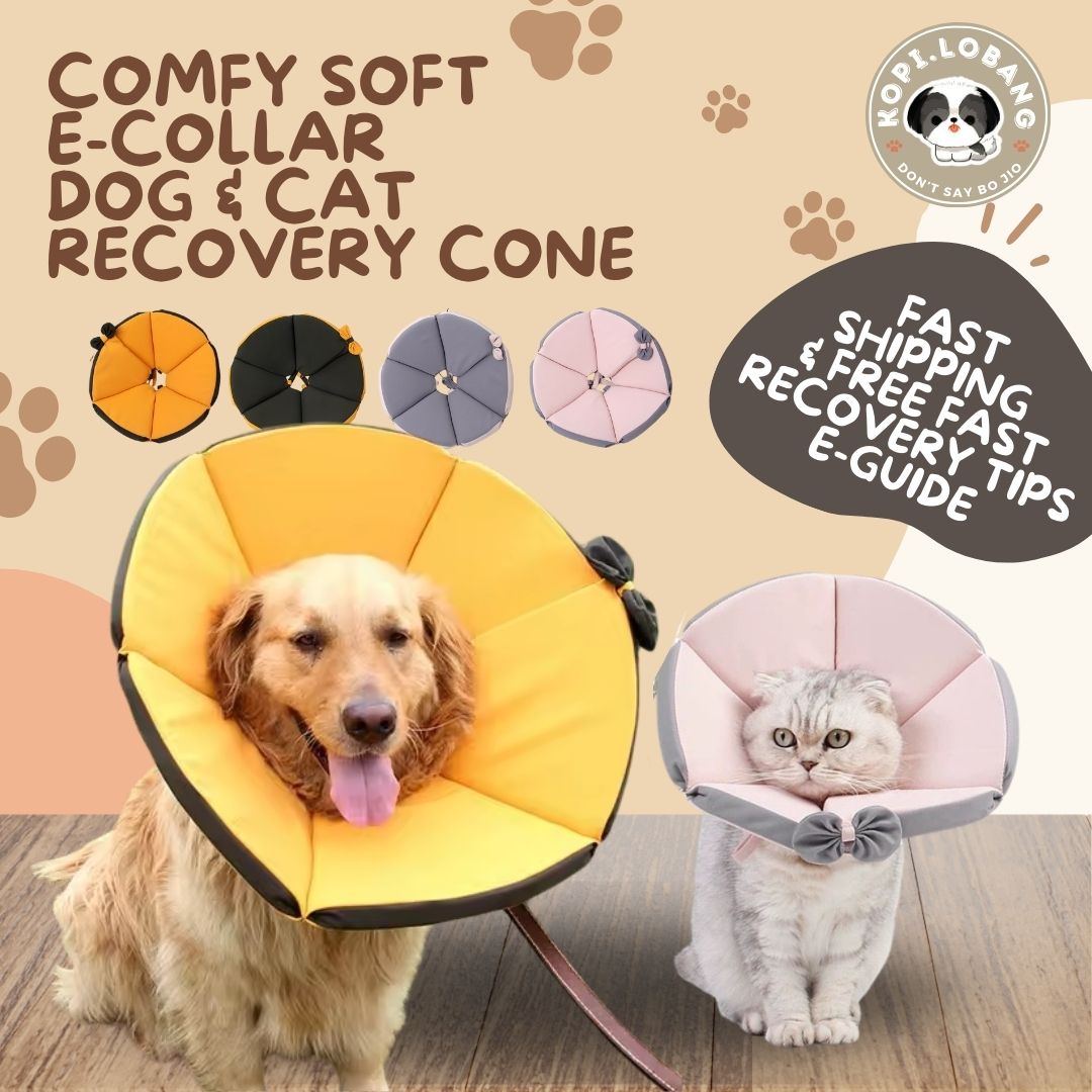 ✅[SG] [FAST] COMFY SOFT E-COLLAR DOG & CAT  RECOVERY CONE ★ FREE e-Guide on 5 Important Tips for Fast Pet Recovery ★