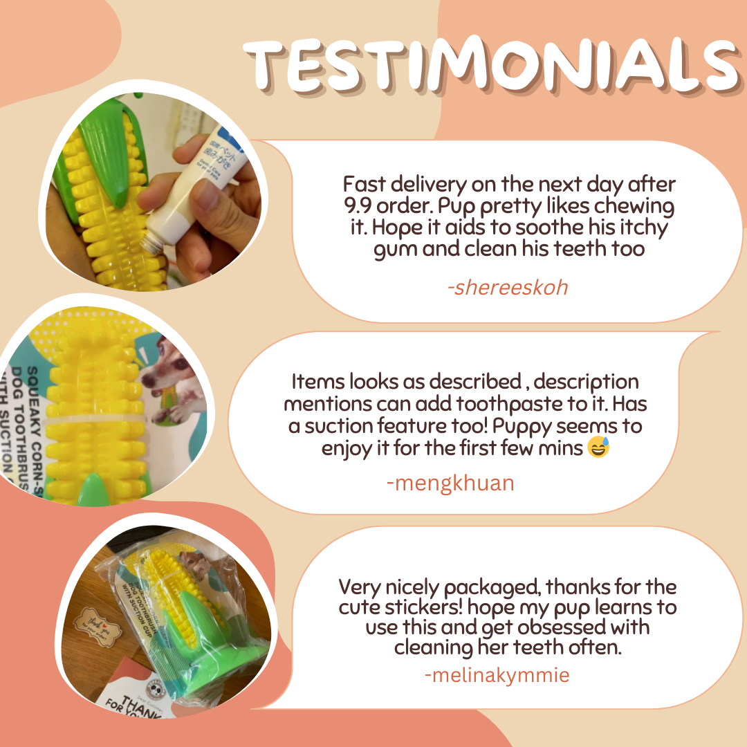 ✅[SG] MR. CORN TEETH CLEANING CHEWING TOY ★ Dental Hygiene Training ★ FREE Enrichment Tips & Ideas e-Guide Worth $7 ★ Enrichment ★ SG Stock ★ Kopi Lobang