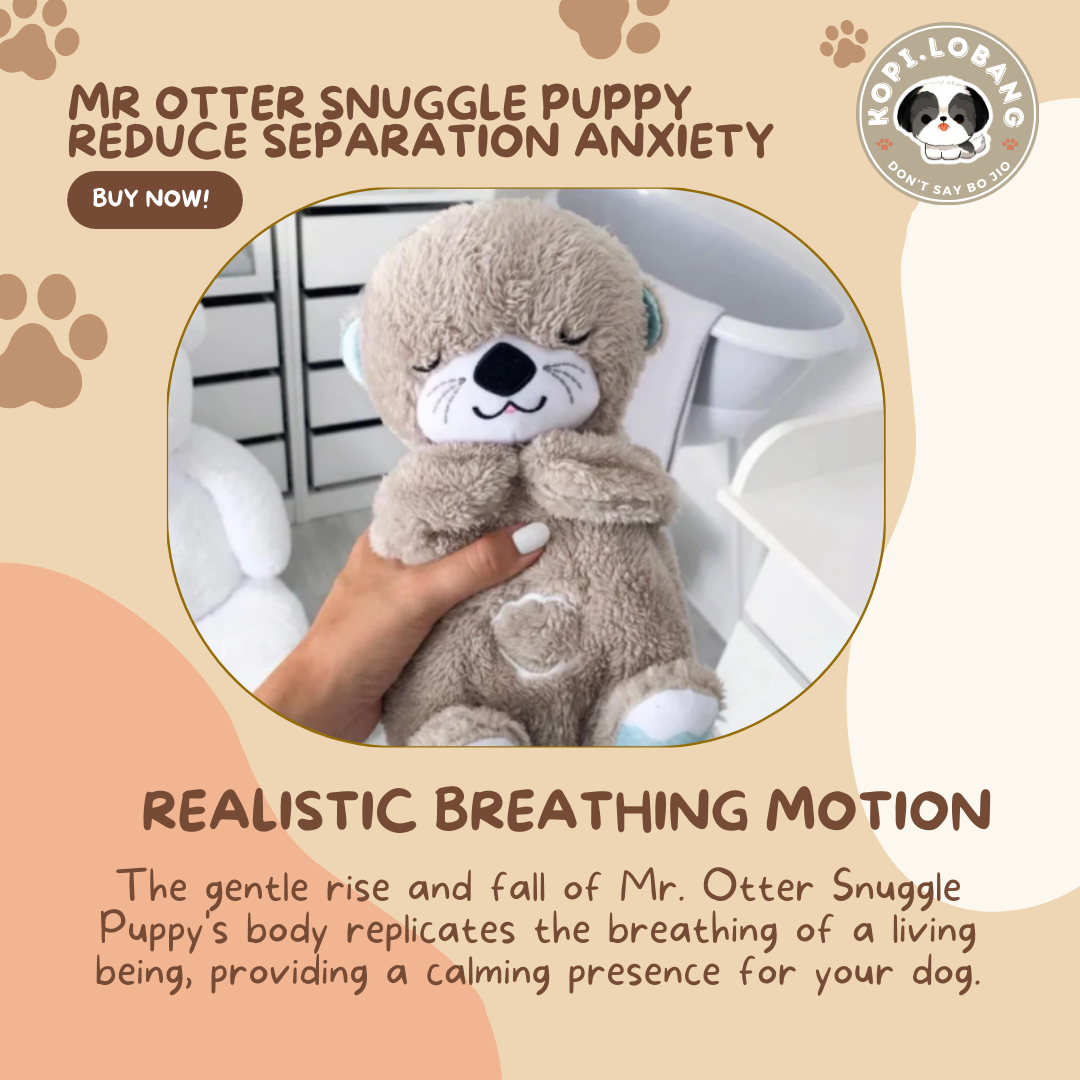 ✅[SG] MR OTTER SNUGGLE FOR DOG SEPARATION ANXIETY ★ FREE Separation Anxiety Training eGuide Worth $7 ★ Fast Shipping