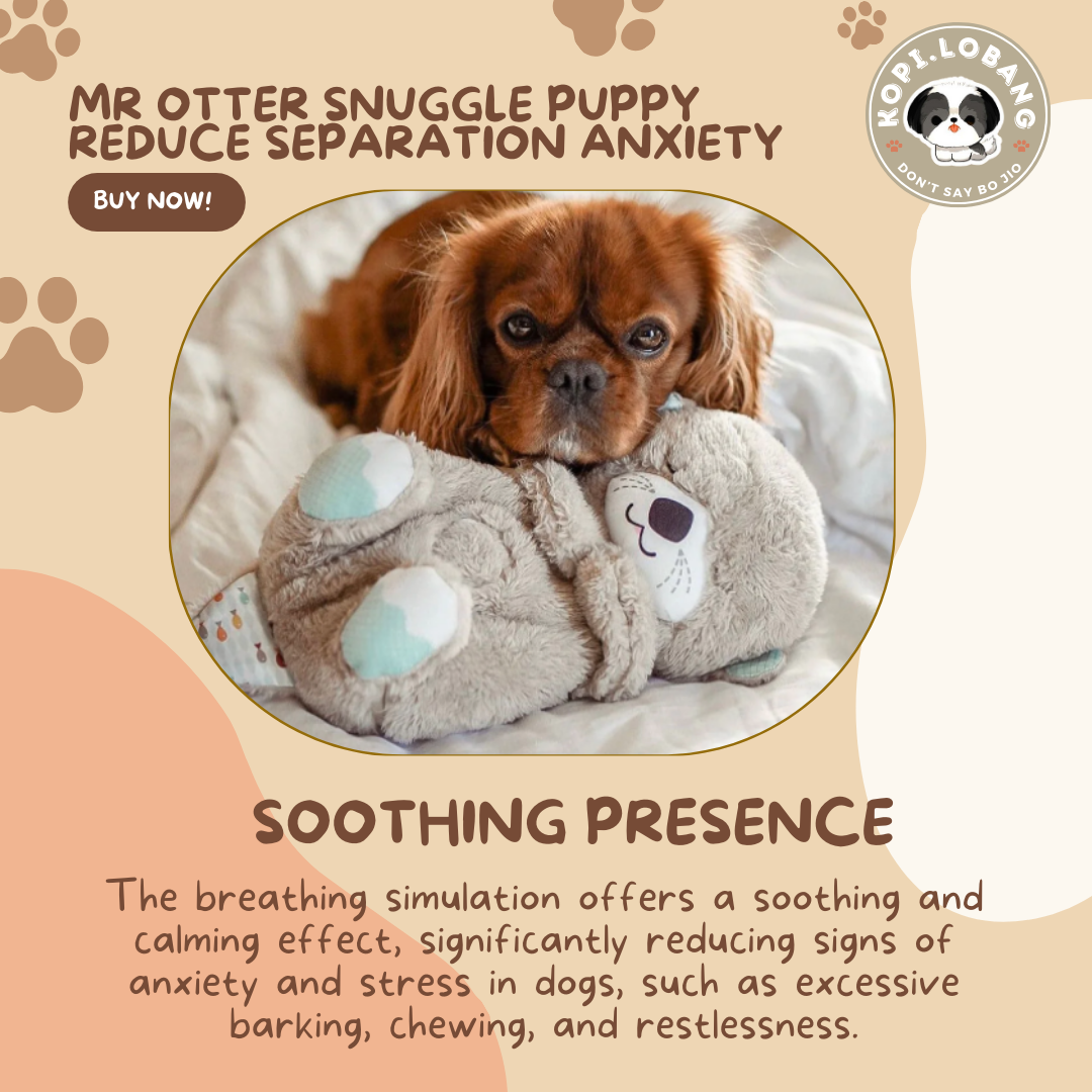 ✅[SG] MR OTTER SNUGGLE FOR DOG SEPARATION ANXIETY ★ FREE Separation Anxiety Training eGuide Worth $7 ★ Fast Shipping