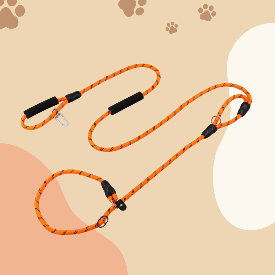 ✅[SG] MR. HANDS FREE SLIP LEASH NO-PULL 2.6 Metre ★ Loose Leash Walking & Training ★ FREE Loose Leash Walking e-Guide Worth $7