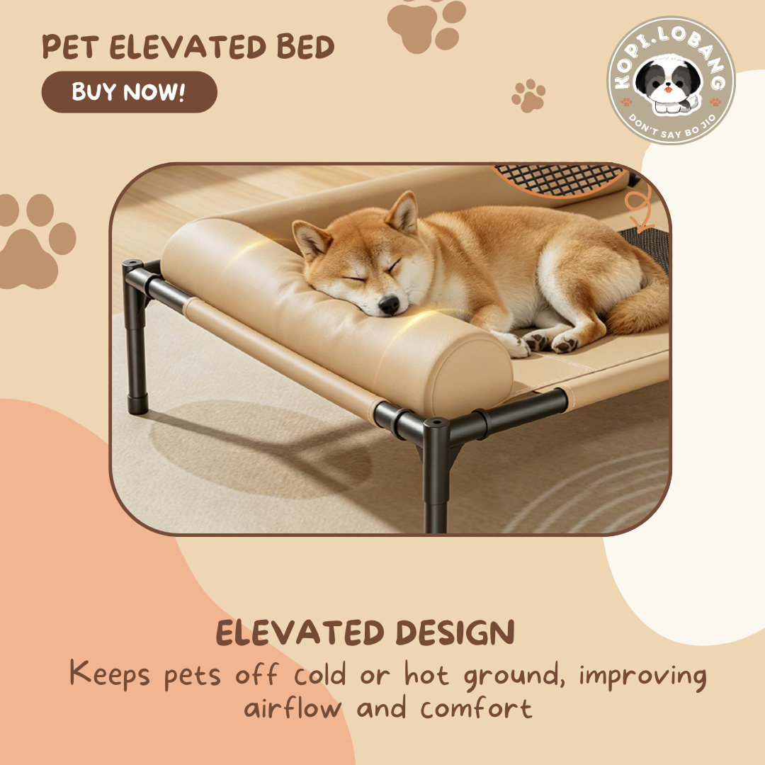 ✅[SG] Elevated Pet Bed for Dogs & Cats | Breathable & Durable Pet Bed | Easy Clean