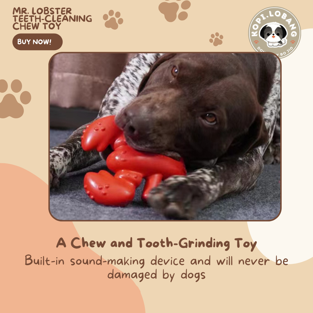 ✅[SG] MR. LOBSTER TEETH-CLEANING CHEW TOY ★ FREE Enrichment Tips & Ideas e-Guide Worth $7 ★ Pet Enrichment ★ SG Stock ★ Kopi Lobang