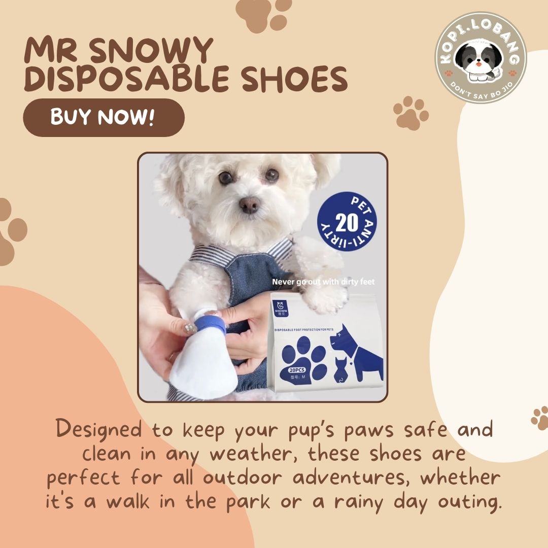 ✅[SG] MR SNOWY DISPOSABLE SHOES ★  FREE E-GUIDE HOW TO LOOSE LEASH WALKING ★ Enrichment ★ SG Stock ★ Kopi Lobang