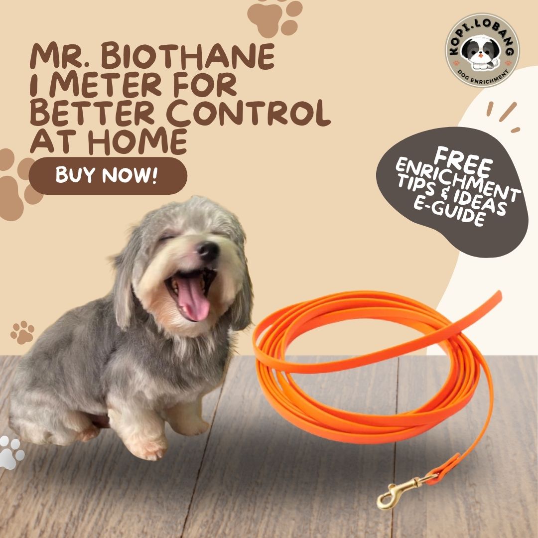 ✅[SG] Mr. Drag Leash 1 Meter For Better Control At Home ★ FREE Enrichment Tips & Ideas e-Guide Worth $7 ★ Enrichment ★ SG Stock ★ Kopi Lobang