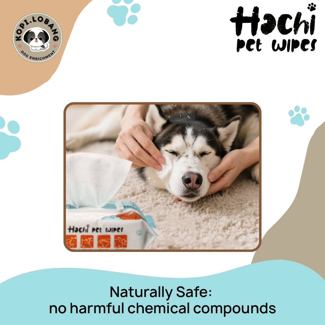 ✅[SG] HACHI Pet Wet Wipes | 12 Packs | 80 Super Jumbo 15x20CM Sheets Per Pack ★ Hypoallergenic | Plant-Based | Unscented | Alcohol-Free ★