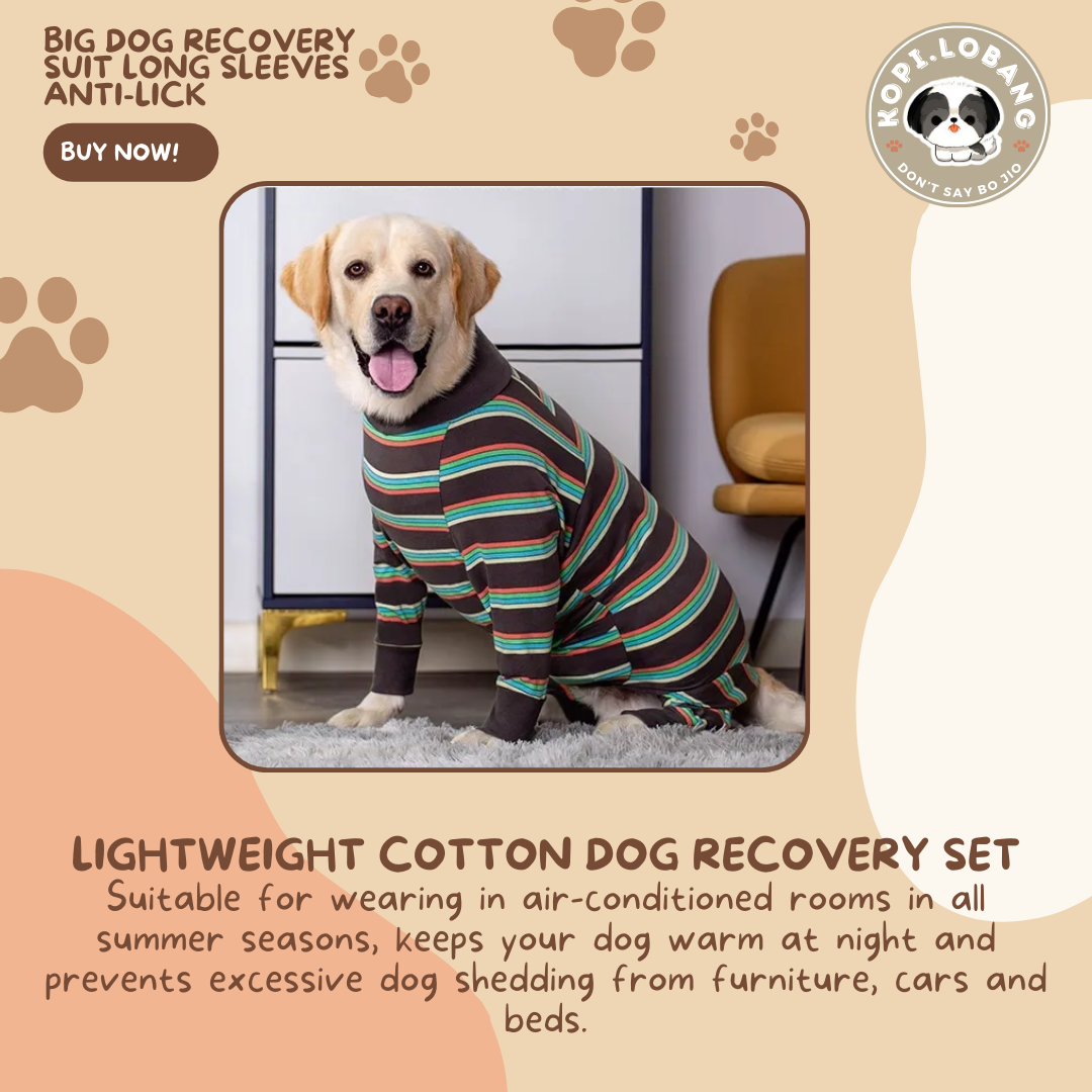 Big Dog Recovery Suit Long Sleeves Anti-Lick