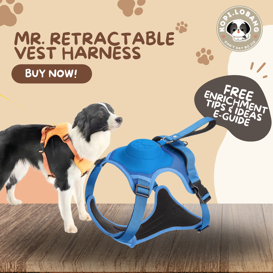 ✅[SG] MR. RETRACTABLE VEST HARNESS ★ FREE Enrichment Tips & Ideas e-Guide Worth $7 ★ Pet Enrichment ★ SG Stock ★ Kopi Lobang