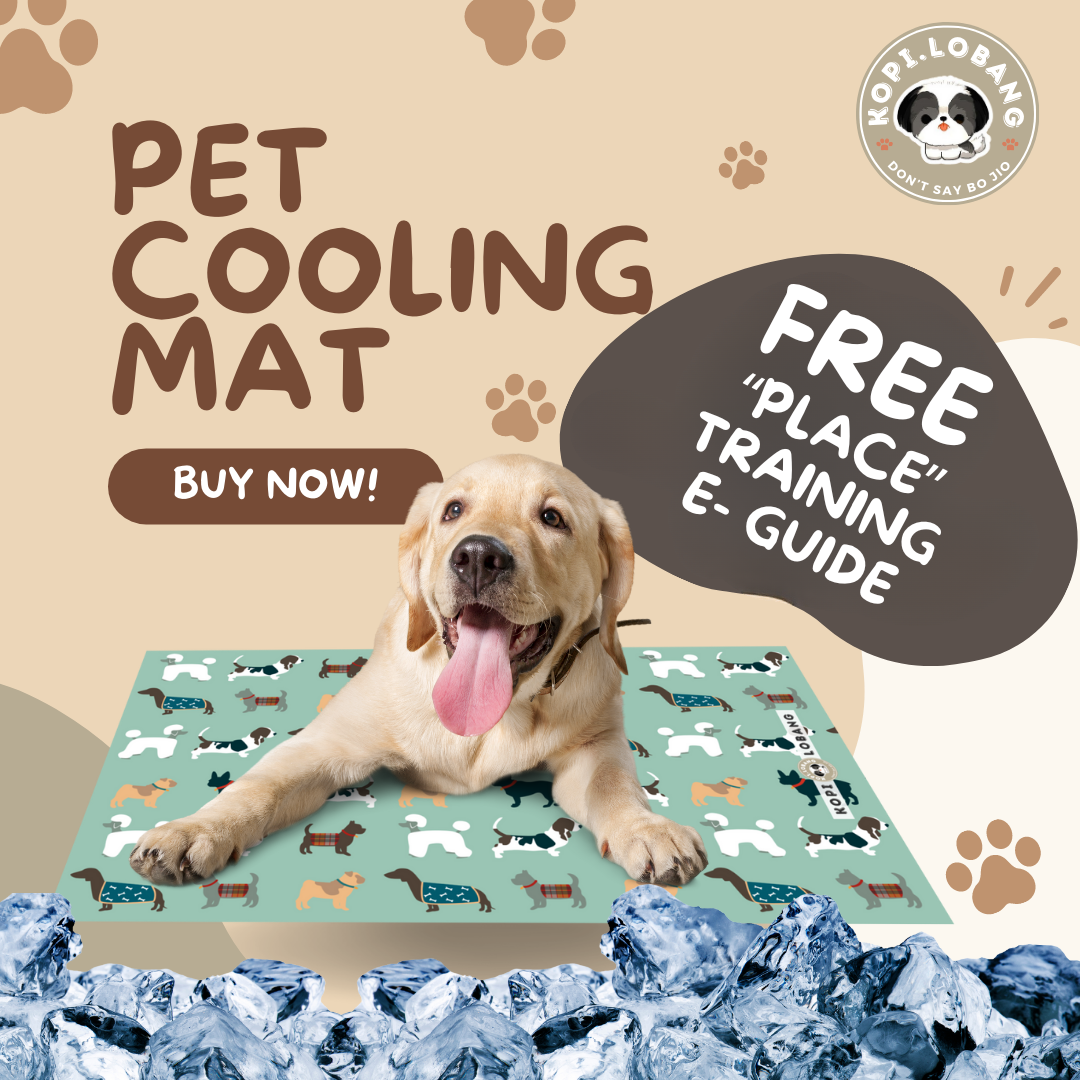 ✅[SG] Reversible Pet Cooling Mat / Pad ★ FREE "Place" Training e-Guide  Worth $7 ★ Unique Design ★ SG Stock ★ For Dog Cat ★ Perfect for Gift