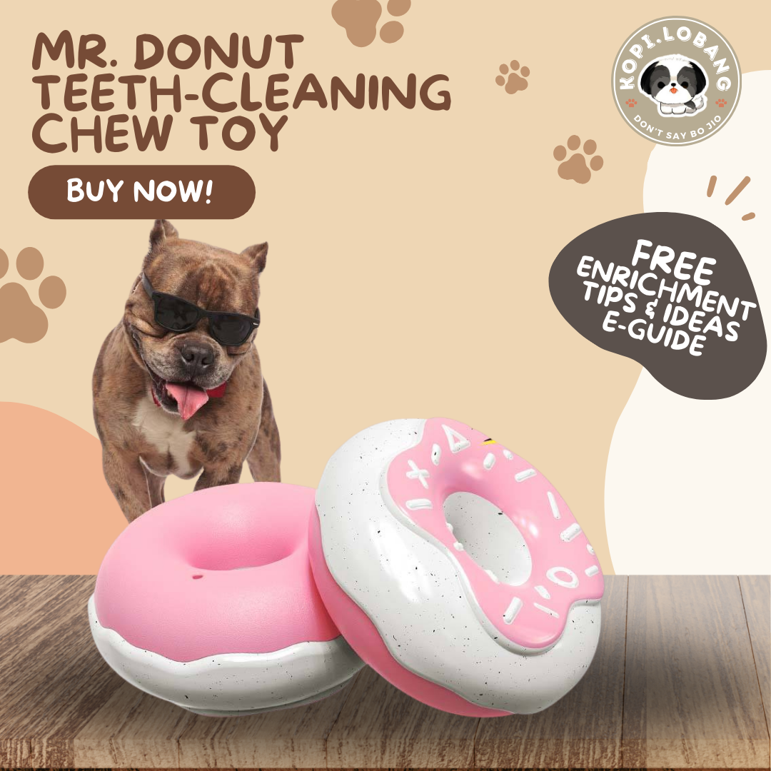 ✅[SG] MR. DONUT TEETH-CLEANING CHEW TOY ★ FREE Enrichment Tips & Ideas e-Guide Worth $7 ★ Pet Enrichment ★ SG Stock ★ Kopi Lobang