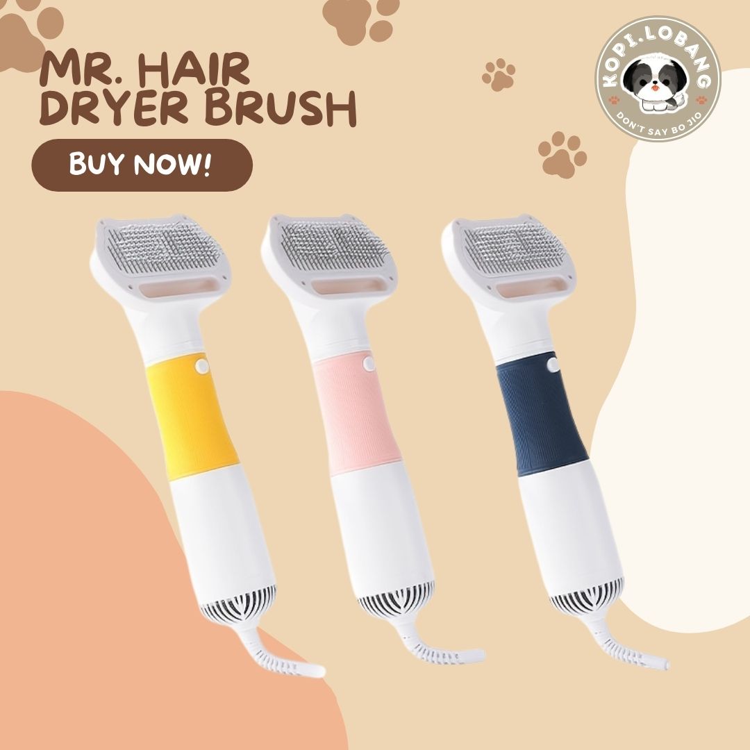 ✅[SG] MR. HAIR DRYER BRUSH ★ FOR DOG AND CAT FREE Enrichment Tips & Ideas e-Guide Worth $7 ★ Pet Enrichment ★ SG Stock ★ Kopi Lobang