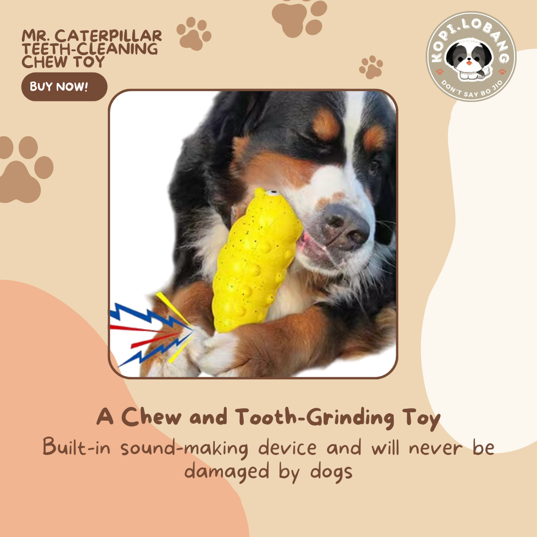 ✅[SG] MR. CATERPILLAR TEETH-CLEANING CHEW TOY ★ FREE Enrichment Tips & Ideas e-Guide Worth $7 ★ Pet Enrichment ★ SG Stock ★ Kopi Lobang