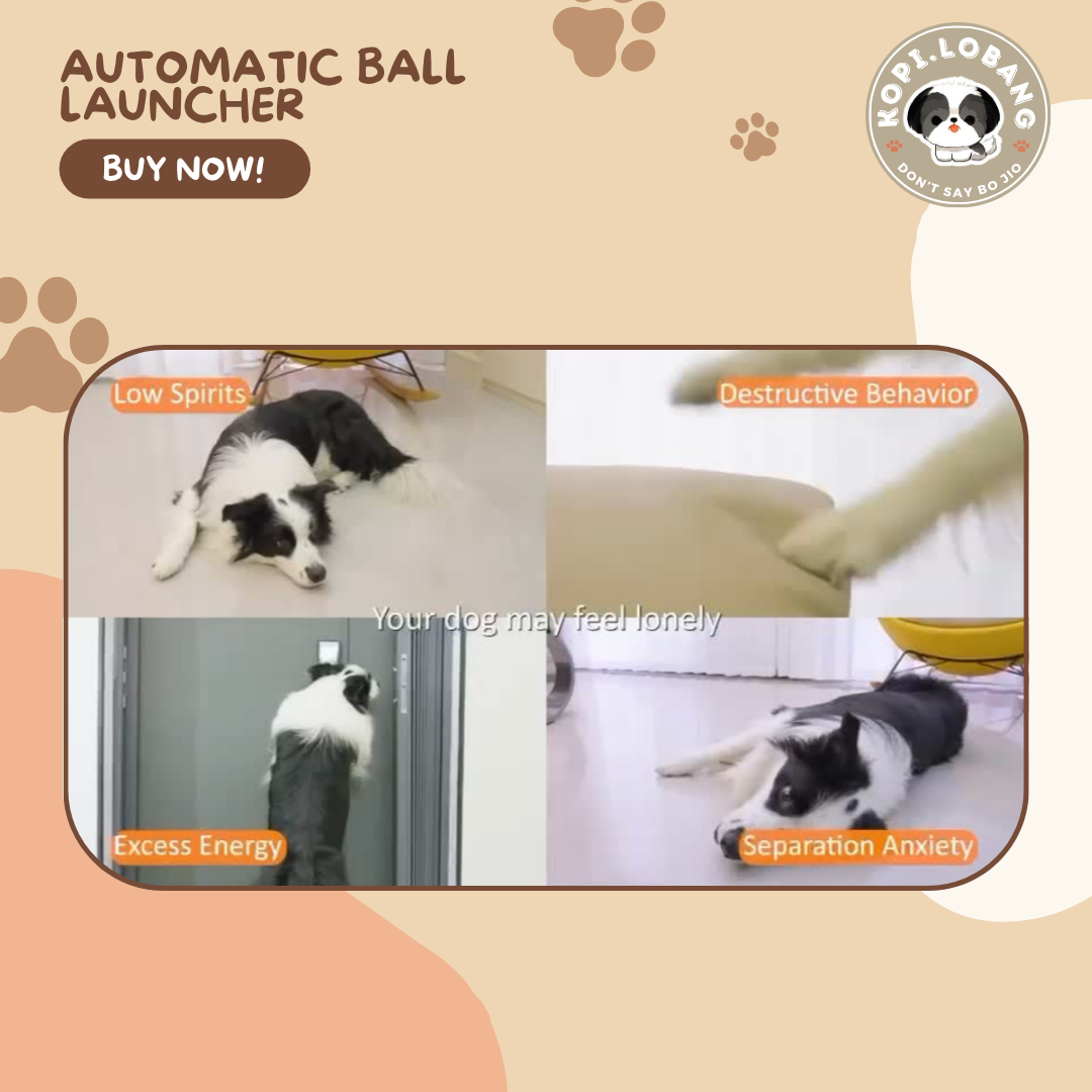 ✅[SG] Automatic Dog Tennis Ball Launcher | Smart Interactive Fetch Toy | Indoor Exercise | Boredom Relief & Training