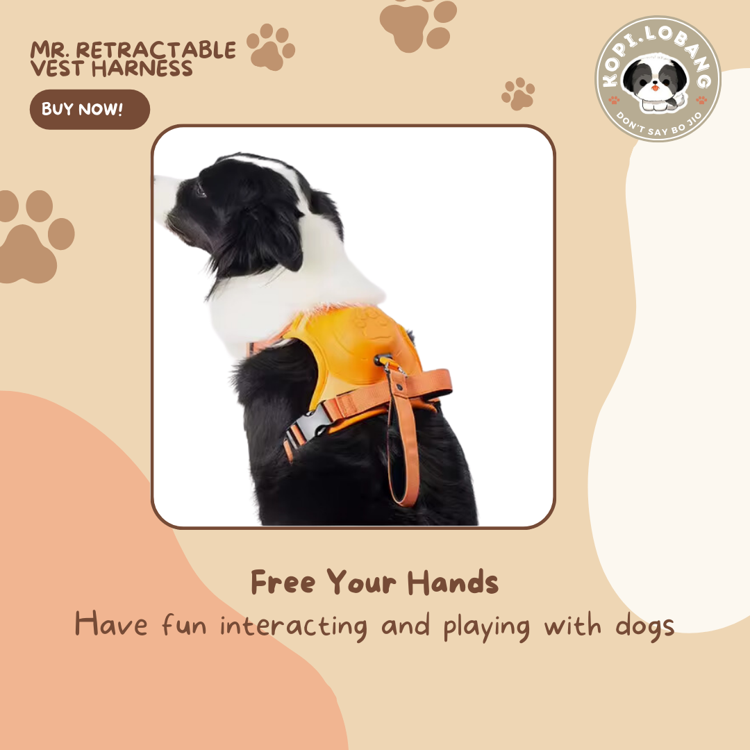 ✅[SG] MR. RETRACTABLE VEST HARNESS ★ FREE Enrichment Tips & Ideas e-Guide Worth $7 ★ Pet Enrichment ★ SG Stock ★ Kopi Lobang