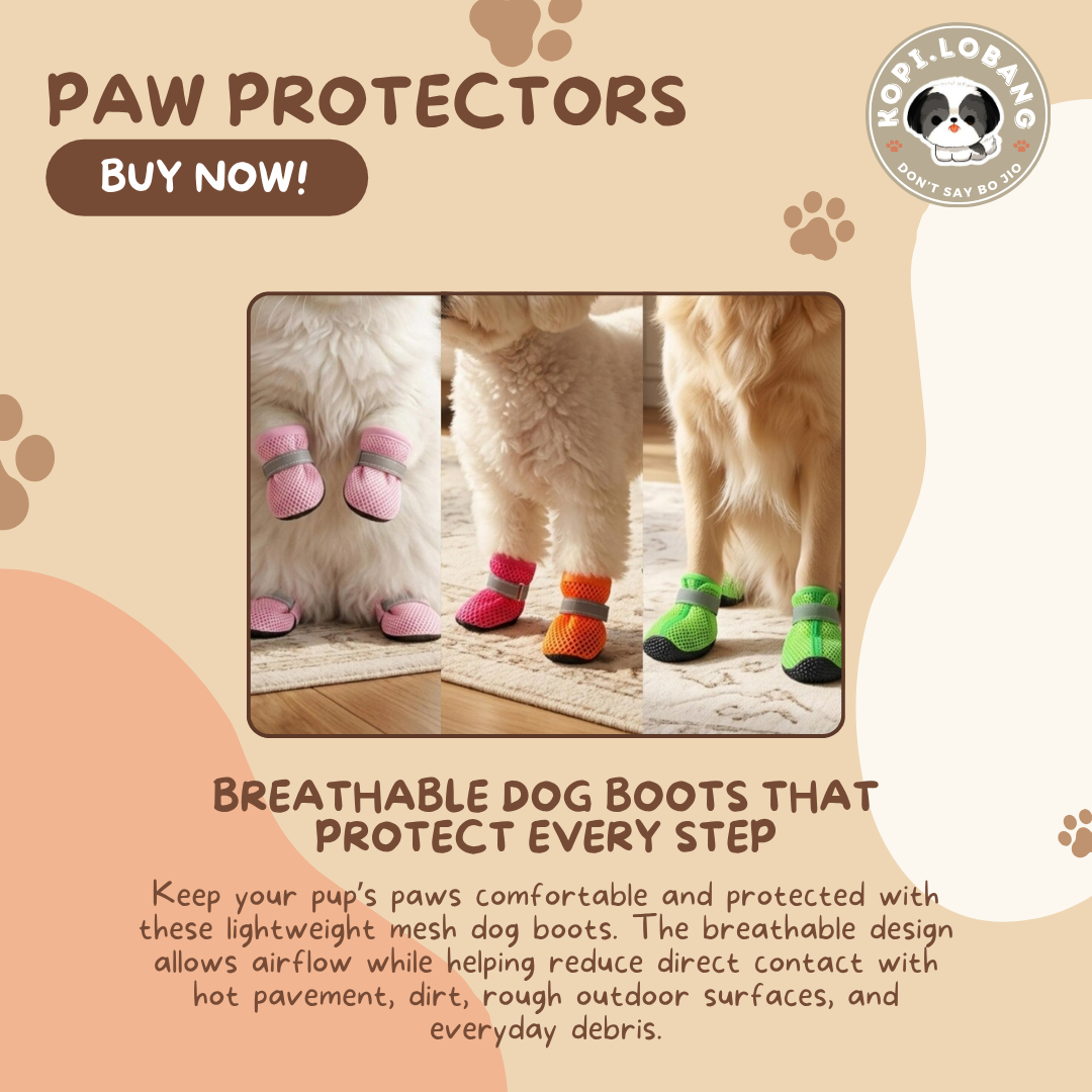 ✅[SG] Paw Protector ★ Enrichment ★ SG Stock ★ Kopi Lobang