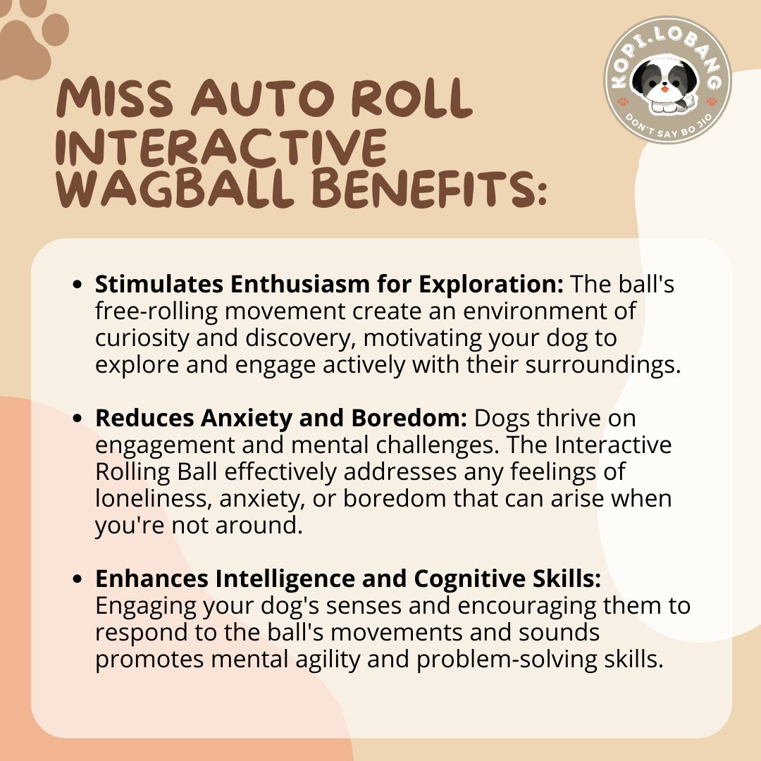 ✅[SG] MISS AUTO ROLL INTERACTIVE WAG BALL ★ Agility Training ★FREE Enrichment Tips & Ideas e-Guide Worth $7★ Enrichment ★ SG Stock ★ Kopi Lobang