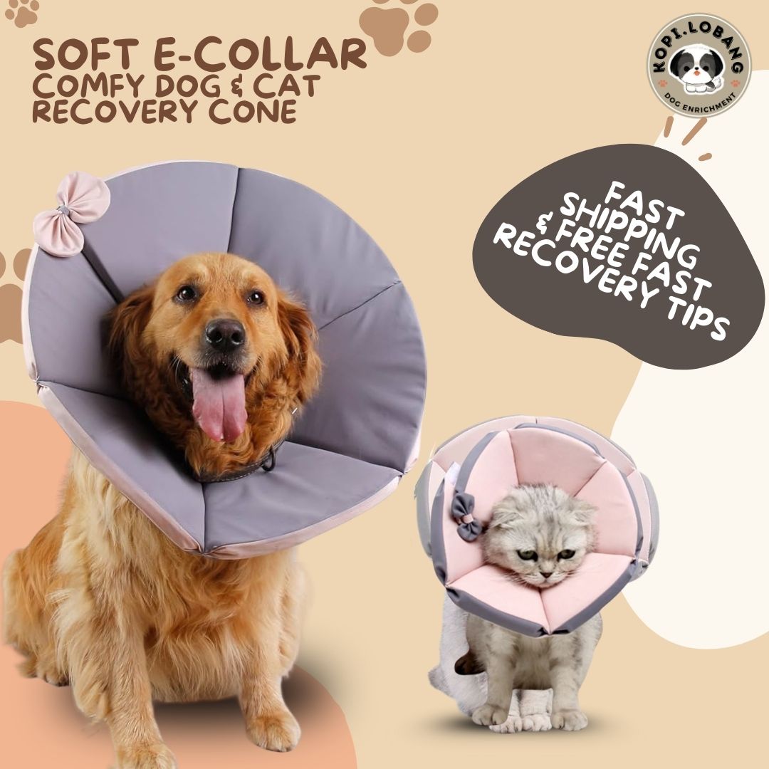 ✅[SG] [FAST] SOFT E-COLLAR COMFY TRIANGLE DOG & CAT RECOVERY CONE ★ FREE e-Guide on 5 Important Tips for Fast Pet Recovery ★